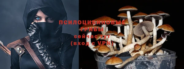 MESCALINE Белокуриха